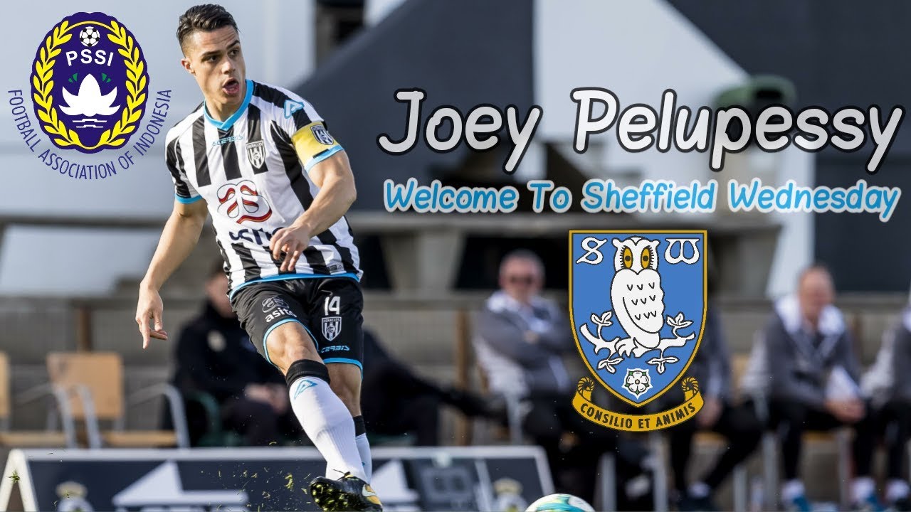 Joey Pelupessy ● Welcome To Sheffield Wednesday ● Moluccan-Indonesian