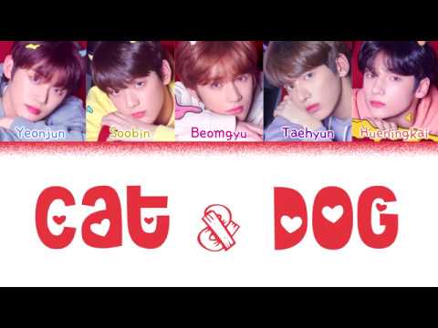 Txt (투모로우바이투게더) - 'Cat & Dog' (Color Coded Lyrics Eng/Rom/Han/가사)(Corrected  In Comments) - Youtube