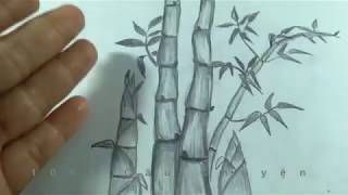 How To Draw Bamboo/ Vẽ Cây Tre Và Búp Măng Non Đơn Giãn Bằng Bút Chì -  Youtube